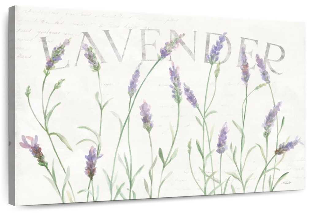 Simple Lavender Fields I Wall Art