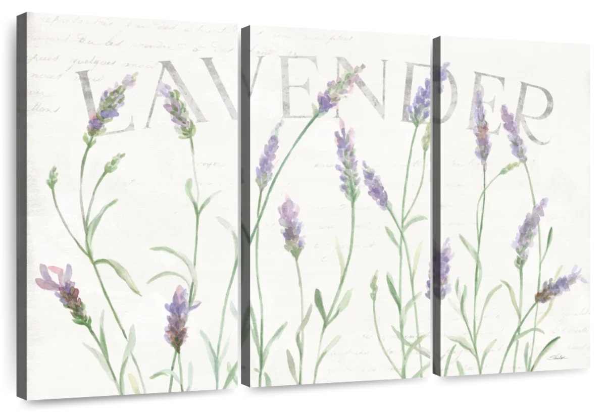 Simple Lavender Fields I Wall Art