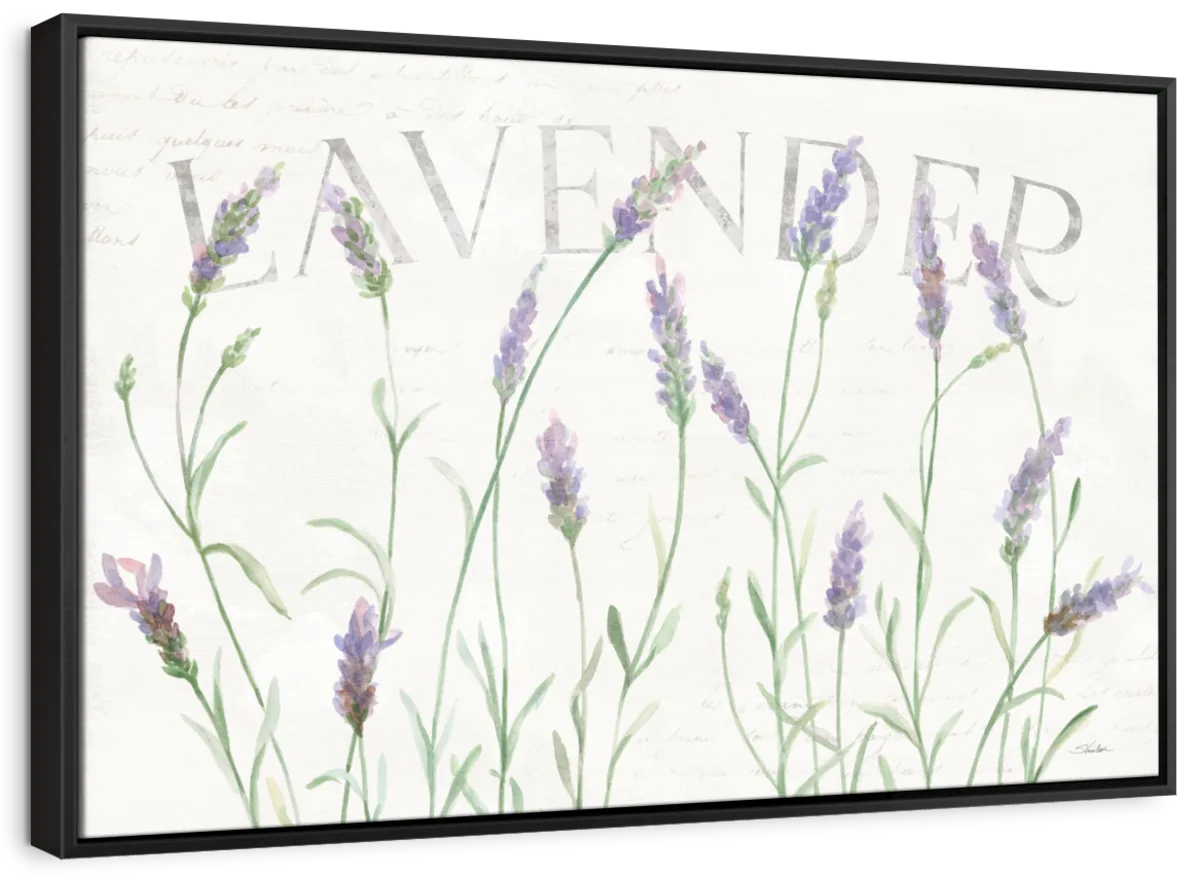 Simple Lavender Fields I Wall Art