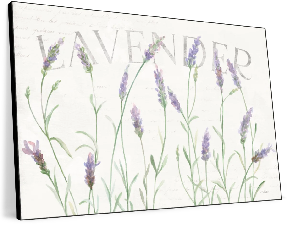 Simple Lavender Fields I Wall Art