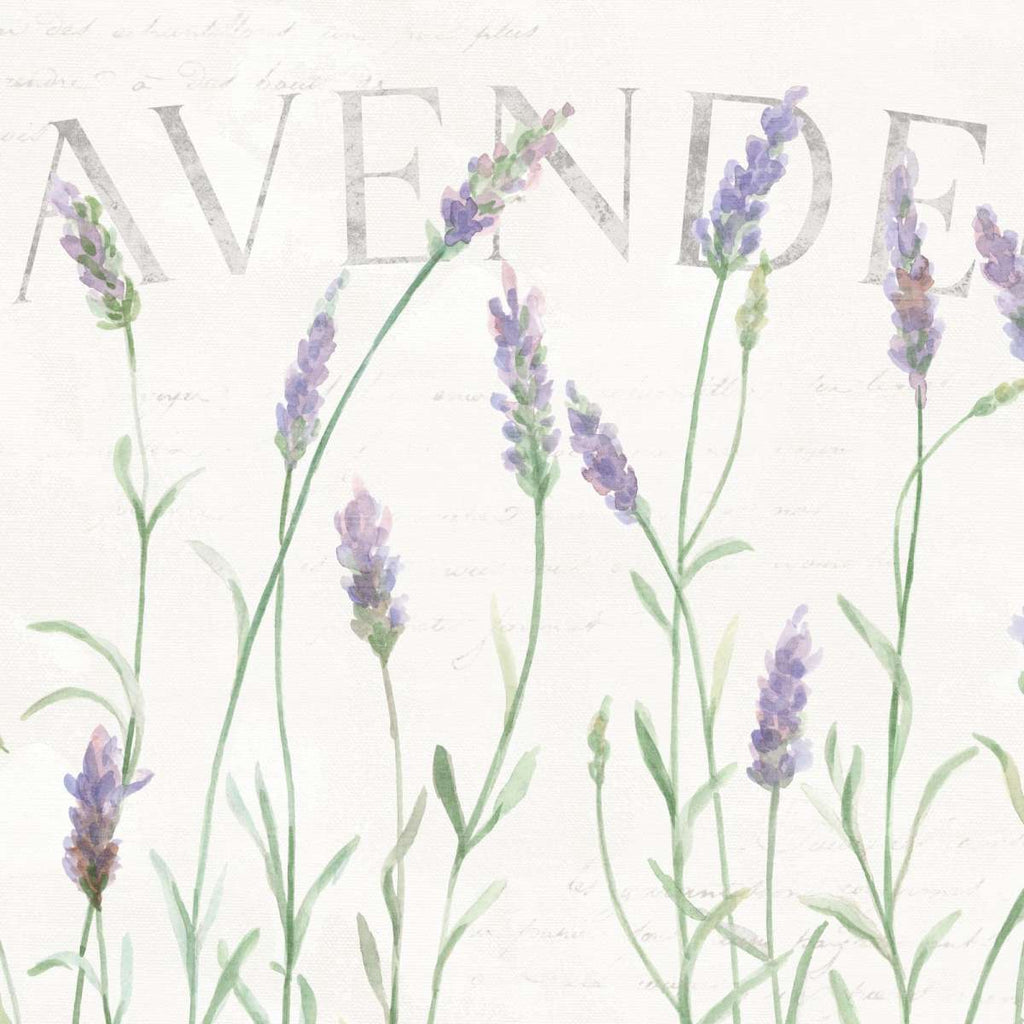 Simple Lavender Fields I Wall Art