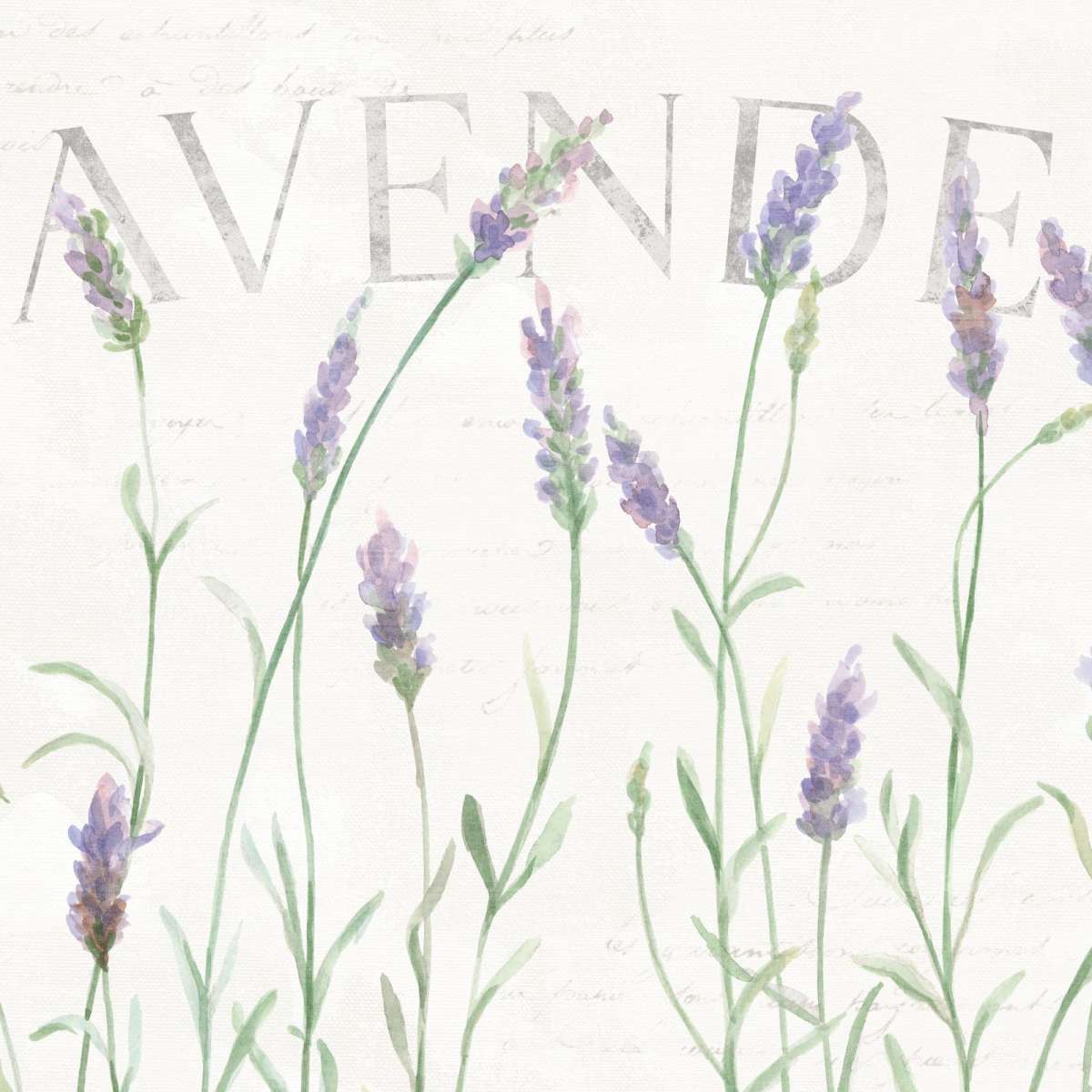 Simple Lavender Fields I Wall Art