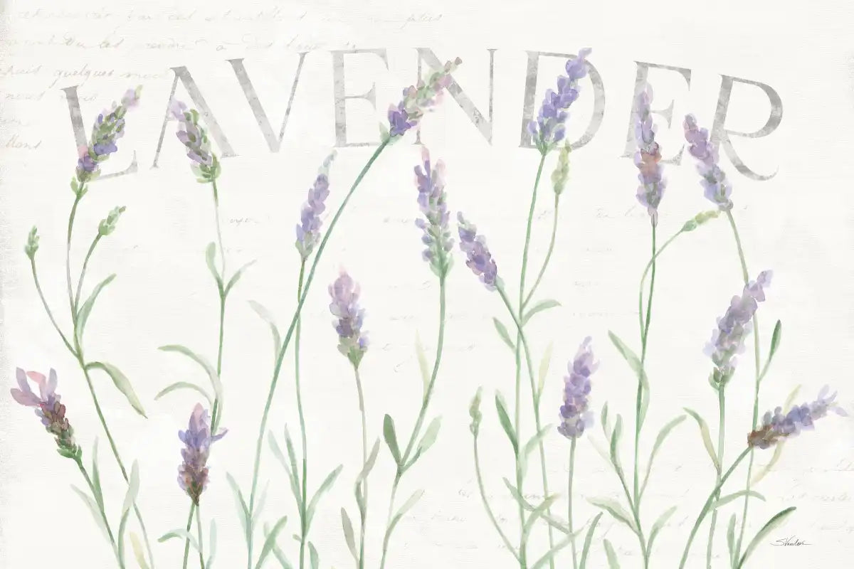 Simple Lavender Fields I Wall Art