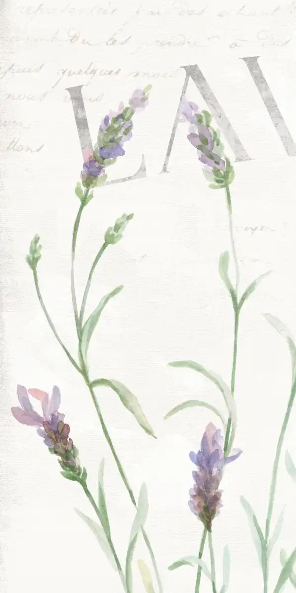 Simple Lavender Fields I Wall Art