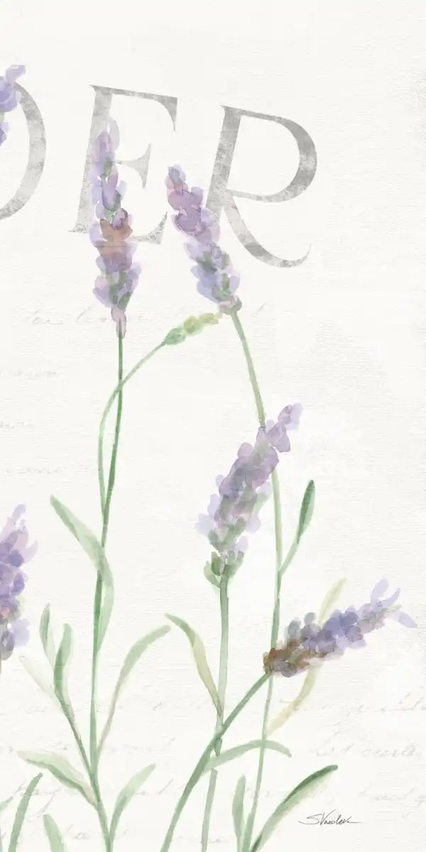 Simple Lavender Fields I Wall Art