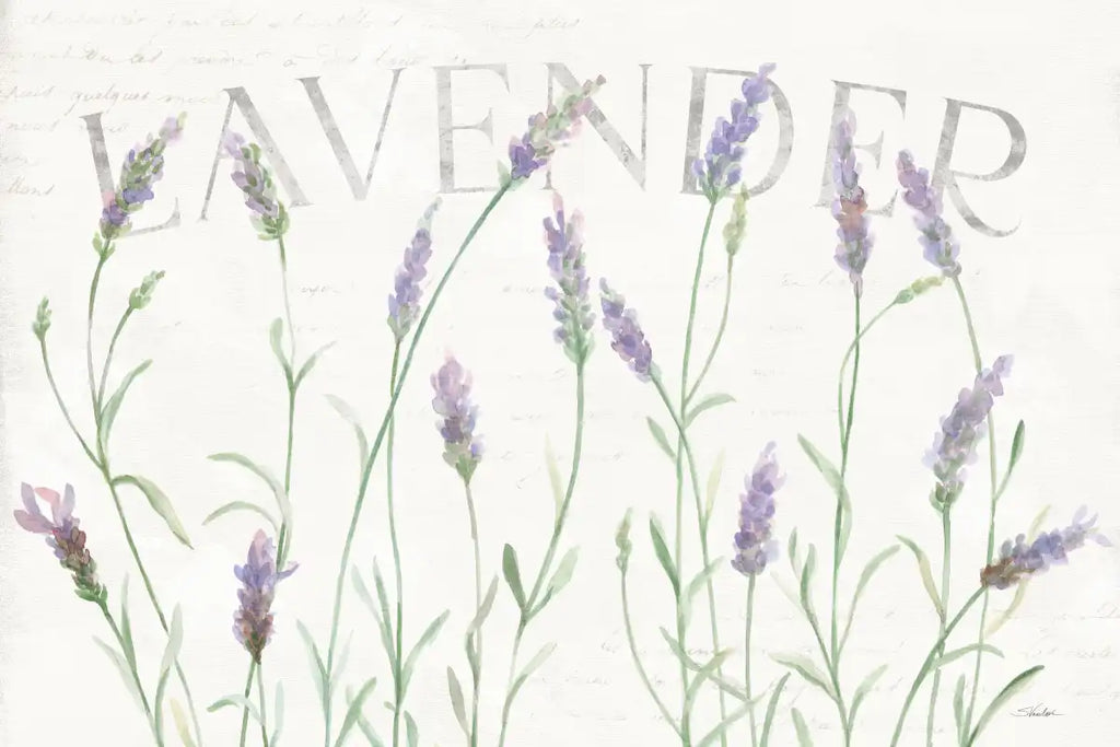 Simple Lavender Fields I Wall Art