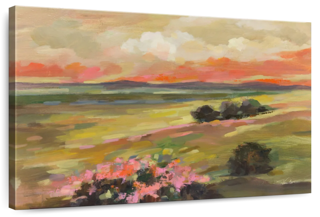 Valley View At Sunset Wall Art