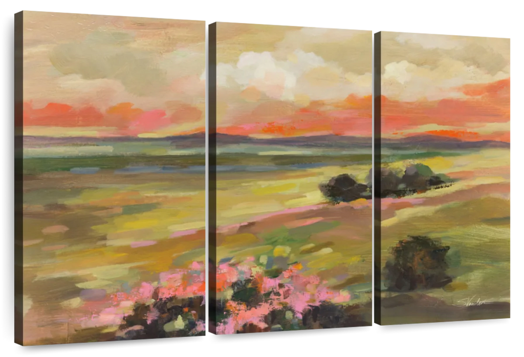 Valley View At Sunset Wall Art